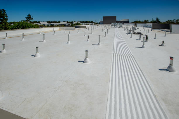 Best Roof Coating and Sealing  in Whitney, SC